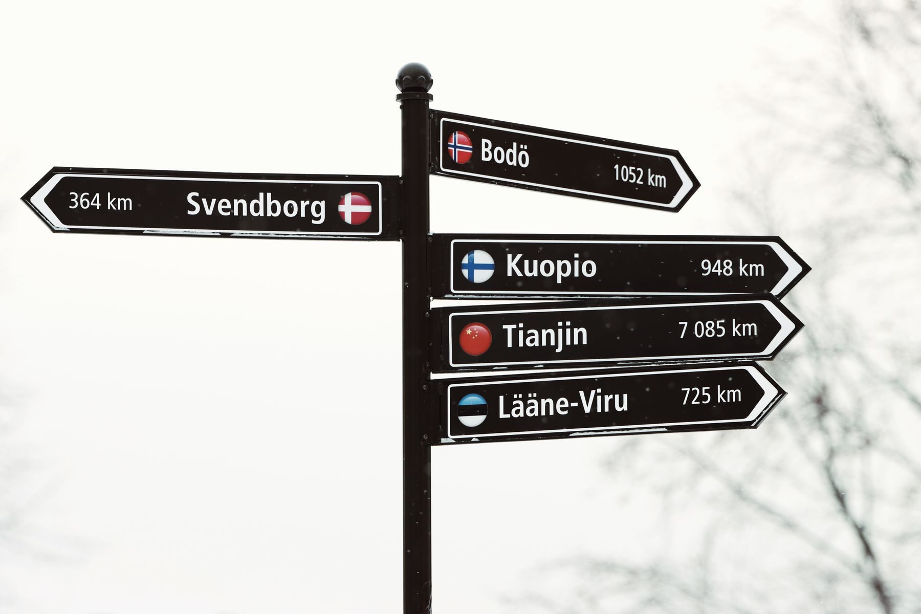 Signpost with arrows pointing in different directions